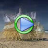 Kinetic Beach Creatures Video